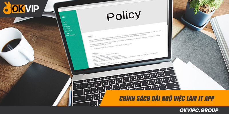 Chính sách đãi ngộ việc làm IT App