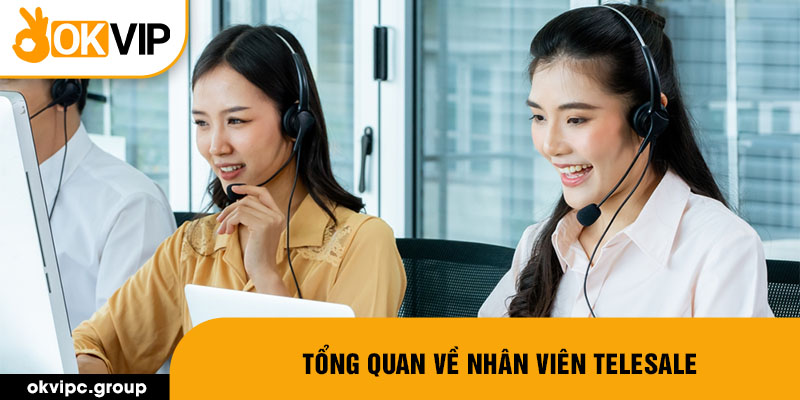 Tổng quan về nhân viên telesale