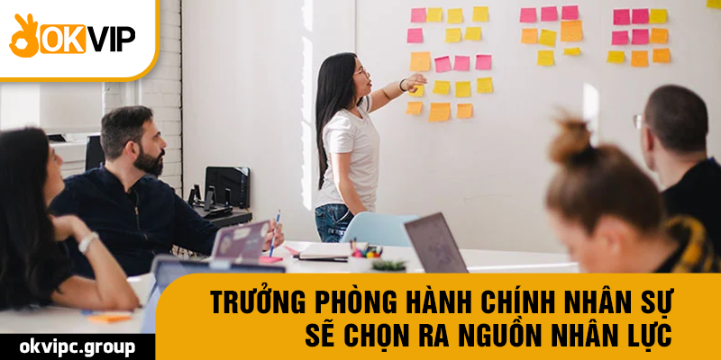 Trưởng phòng hành chính nhân sự sẽ chọn ra nguồn nhân lực