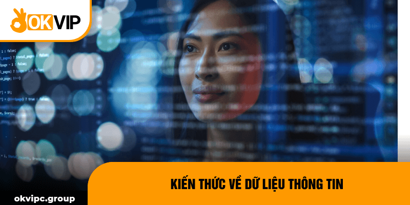 Kiến thức về dữ liệu thông tin