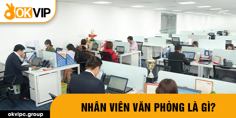 Nhân viên văn phòng là gì?