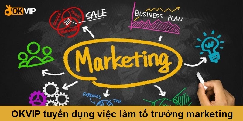 OKVIP tuyển dụng việc làm tổ trưởng marketing